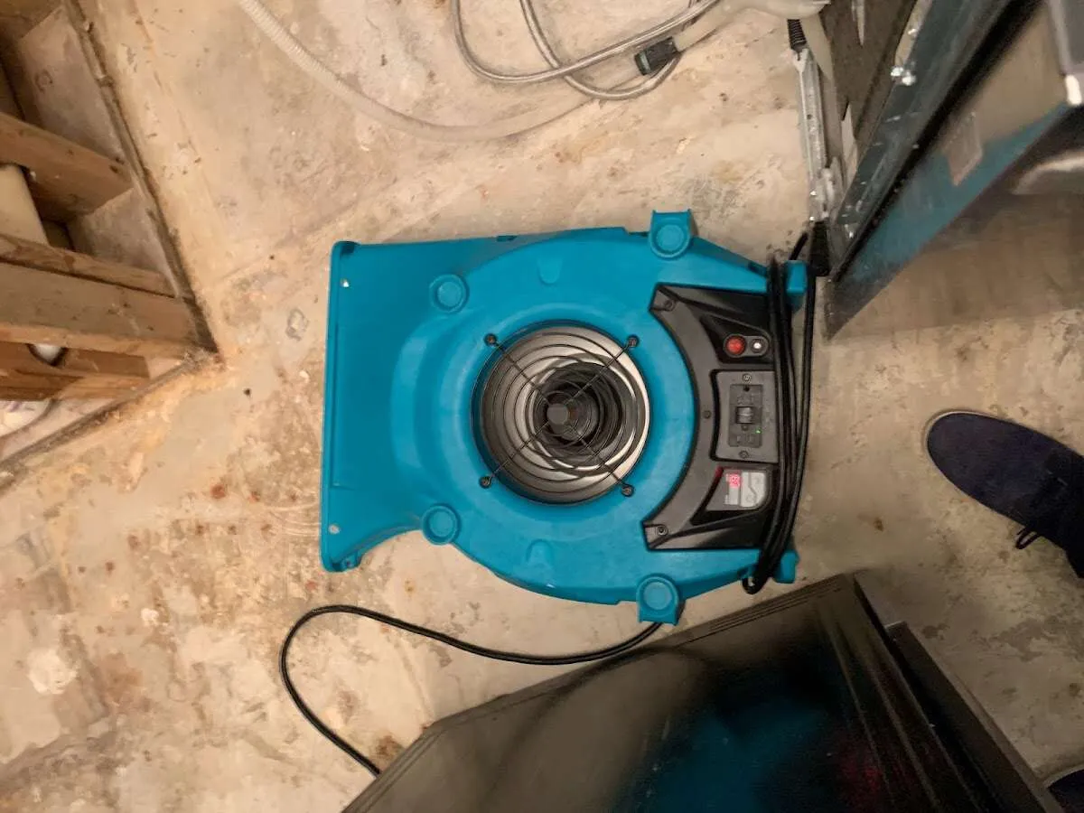 Air mover drying equipment for Mold Remediation & Removal in Litchfield Park